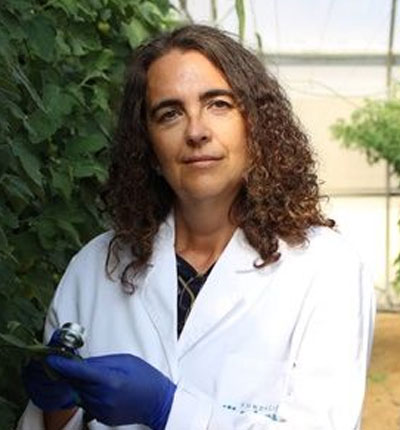 Corpus Pérez
