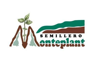 Semilleros Monteplant